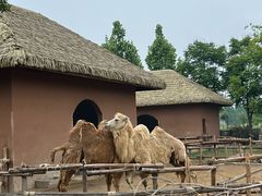 -祥源·阜阳生态乐园