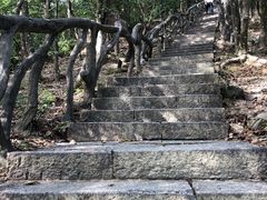 -梧桐山风景名胜区