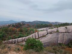 -大罗山风景区