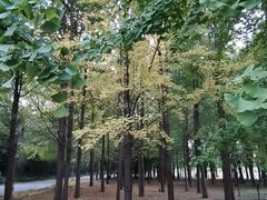 -廊坊市自然公园