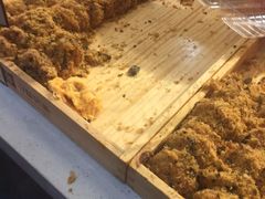 -寻味唐派·牛奶手撕面包(府前街店)