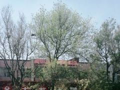 -英雄故事地摊烤肉(马驹桥店)