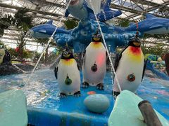 -南宫五洲植物乐园