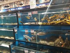 水产区-盒马鲜生(曜一城店)