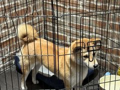 -呼吸沉浸式剧场(甘露园店)