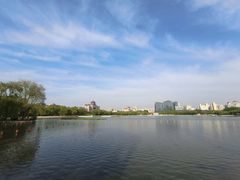 -莲花池公园
