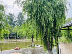 -杨柳青庄园