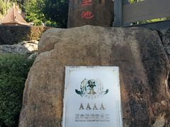 -灵光寺
