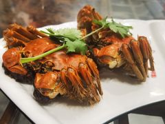 -呼吸森林·生态农庄农家乐私房菜