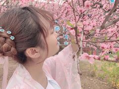 -兰陵国家农业公园