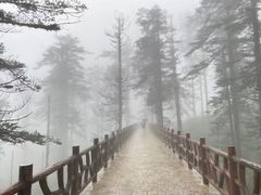 -瓦屋山景区