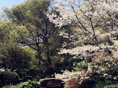 -中国茶叶博物馆(双峰馆区)