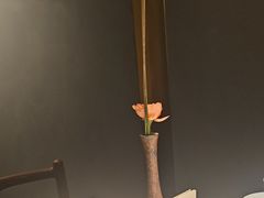 -觀芷隐轩