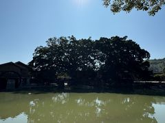 -福建土楼(南靖)景区