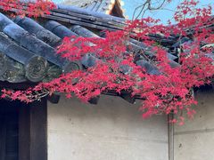 -醍醐寺