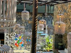 -MOJ coffee(瓯海泽雅水碓坑店)