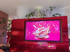 -老板恋上鱼(恒隆广场店)