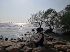 -宝安西湾红树林湿地公园