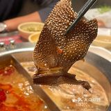 暖锅寿喜烧自助的[礼花]快乐谁懂啊❗️