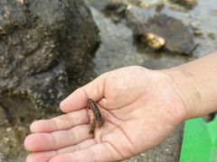 -银滩滨海旅游度假区