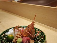 -鲤·鮨KOISUSHI