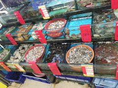 -鑫鸿达·海鲜闽菜热炒小馆(中山路店)