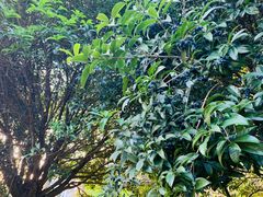 -Club Med地中海俱乐部·桂林度假村