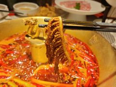 -小龙翻大江文化火锅(宽窄店)