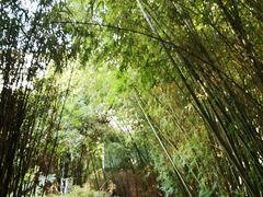 -苏州河梦清园环保主题公园