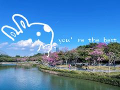 -深圳湾公园(南山区)