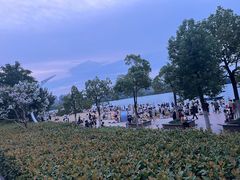 -天鹅湖体育公园