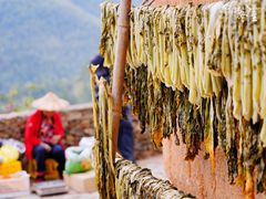 -南靖田螺坑土楼群景区