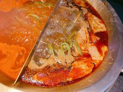 -九鼎轩脆毛肚火锅(南京东路店)