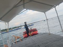-碧海金沙