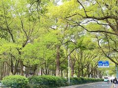 -岳麓山风景名胜区