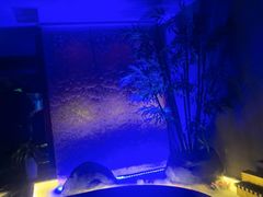 -唐宫足道·SPA·住宿24H会所(木渎店)