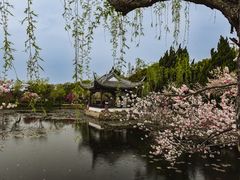 -无锡蠡湖国家湿地公园-蠡园