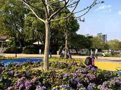 -新江湾城公园