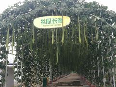 -北戴河集发农业梦想王国