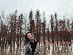 -白鹭湾湿地公园