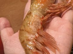 -杭州平安悦坊 PAFC LIVING