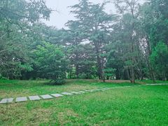 -八大关景区
