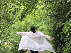 -鹿院坪生态旅游景区