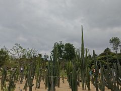 -东莞植物园