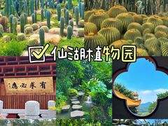 -深圳仙湖植物园