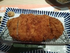 -堂本家·二代目·炸猪排(Express东海店)