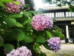 -木渎古镇