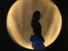 -深圳独角兽星空艺术馆