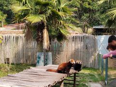 -泉州海丝野生动物世界