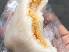 -田州古城
